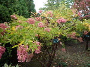 ミナヅキ　全体